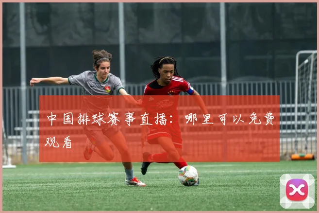 中国排球赛事直播：哪里可以免费观看