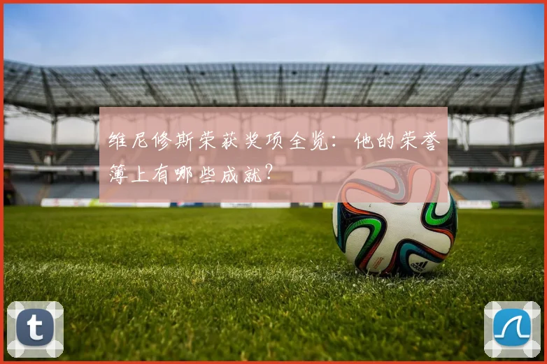 维尼修斯荣获奖项全览：他的荣誉簿上有哪些成就？
