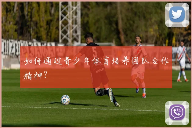 如何通过青少年体育培养团队合作精神？